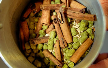 cup with hops, cinnamon sticks, ginger root inside