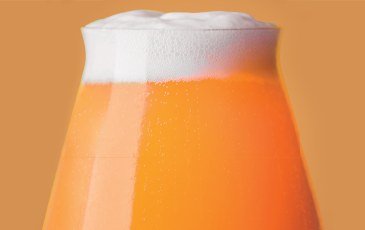 Fermentis North East IPA Yeast Strains