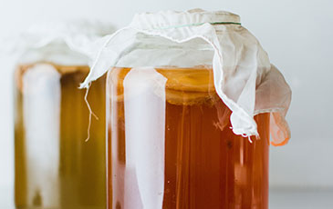 What is a Kombucha SCOBY?