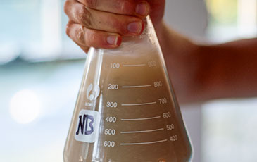 How to Make a Yeast Starter
