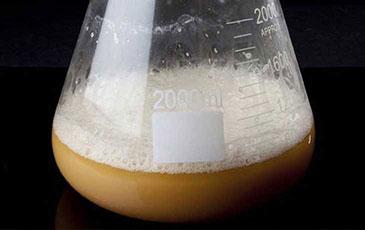5 Easy Tricks for Boosting Yeast Health
