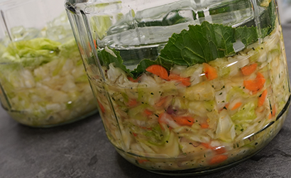 How to Make and Ferment Sauerkraut at Home
