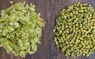 The Difference Between Whole Leaf Hops and Pellet Hops