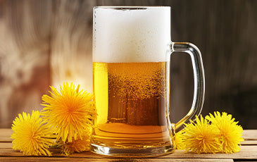 Beer in a glass mug on a wood table with dandelions 