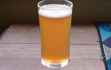 SafAle™ BE-134: The Multi-Purpose Saison Dry Yeast