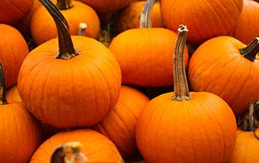 How to Make Pumpkin Ale with Real Pumpkin