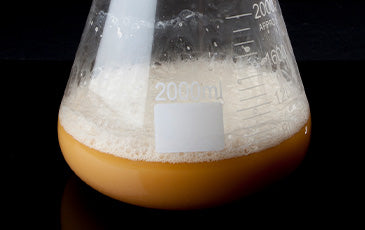 Image of a beaker of yeast on a black background