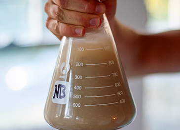 Guide to Kveik Yeast