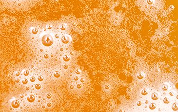 List of Sugars that can be Used for Carbonating Beers