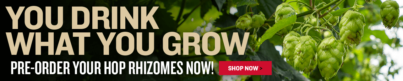 Advertisement for pre-ordering hop rhizomes with text 'You drink what you grow' and a call to action button.