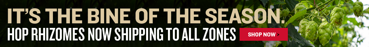 Hop Rhizomes Now Shipping to All Zones!