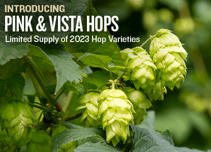 Introducing Pink & Vista Hops. Limited Supply of 2023 Hop Varieties.