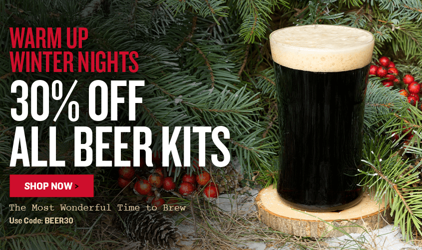 Promotional banner for 30% off all beer kits with a black beer mug and winter foliage.