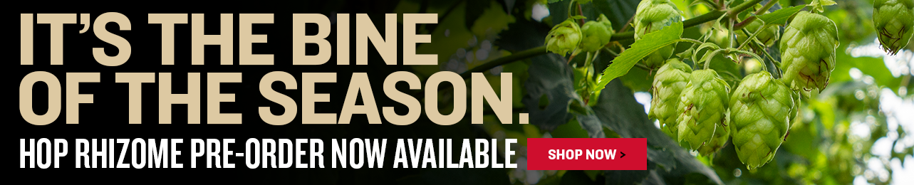It's the bine of the season. Hop Rhizome Now Available for Pre-Order.