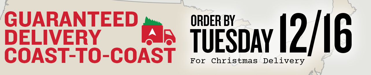 Promotional banner for guaranteed coast-to-coast delivery with a deadline for Christmas delivery.