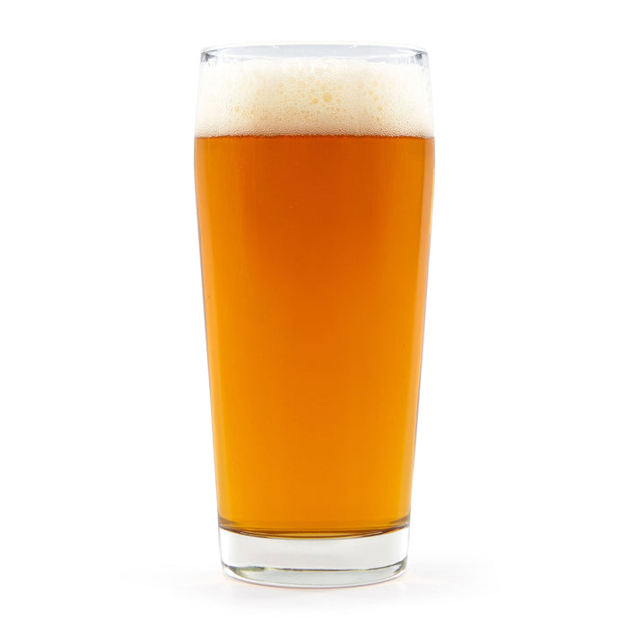 Glass of Cream Ale with a white background