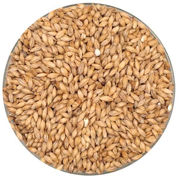 Pilsner Malt - Montana Craft Malt