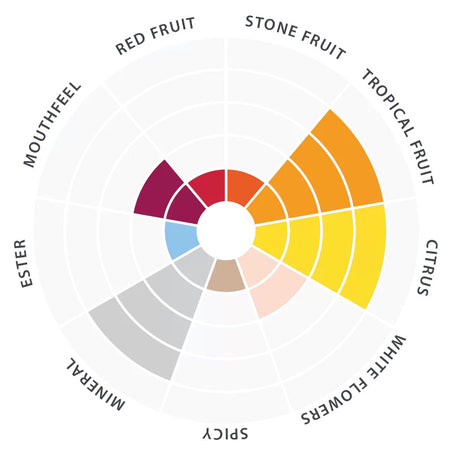 Tasting radar with flavor descriptors for QA23 Wine Yeast