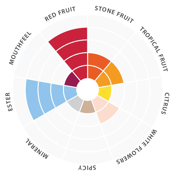 Tasting radar with flavor descriptors for 71B Wine Yeast