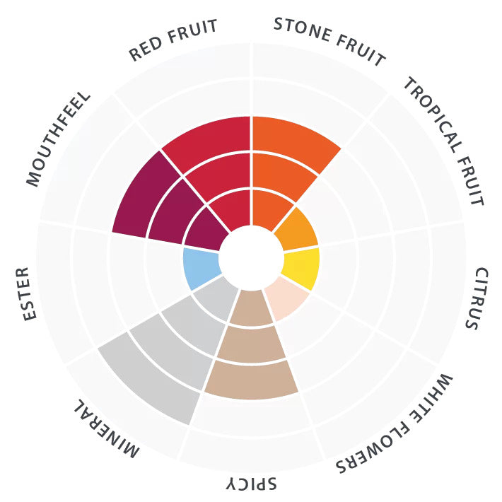 Tasting radar with flavor descriptors for RC212 Wine Yeast
