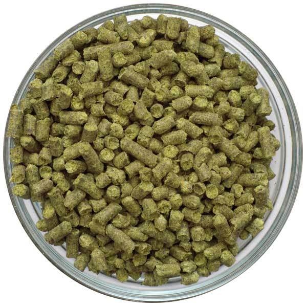 Helios hop pellets in a glass bowl on a white background