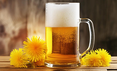 Dandelion Beer Recipe
