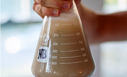 From Farmhouse to Fementer: Your Guide to Kveik Yeast