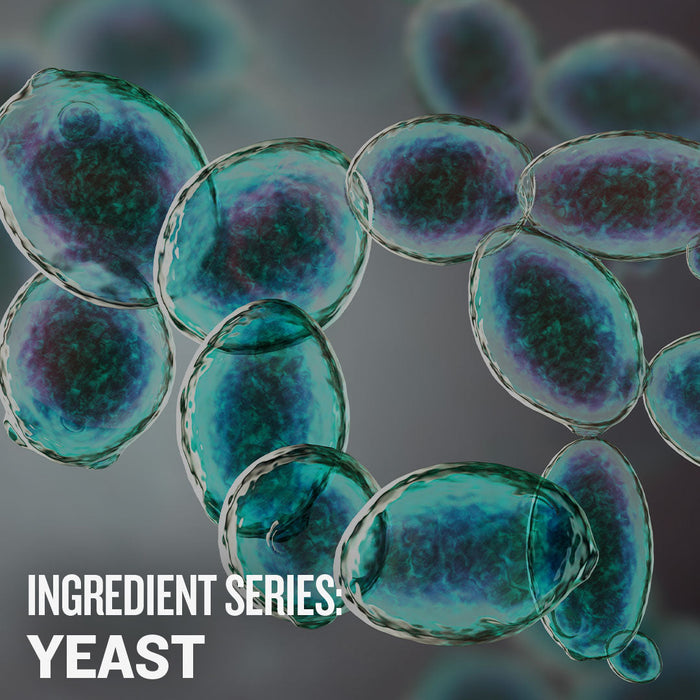 Ingredient Series: Yeast Video Course