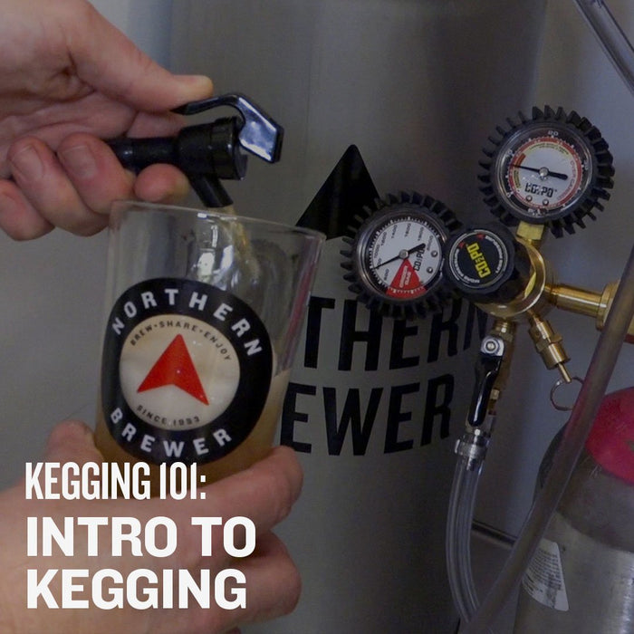 Kegging 101: Introduction to Kegging - Video Course