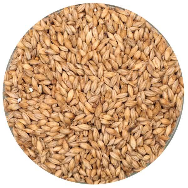 Dingemans Pilsner Malt in a bowl