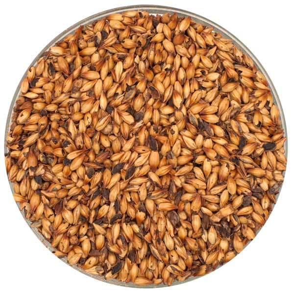 Overhead view of a bowl of Dingemans Special B® Malt
