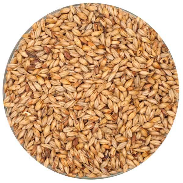 Dingemans Biscuit® Malt in a bowl