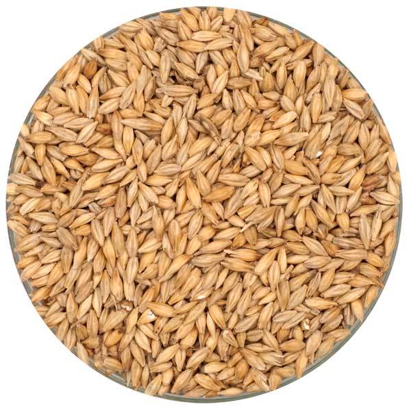 Weyermann® Carafoam® malt in a bowl