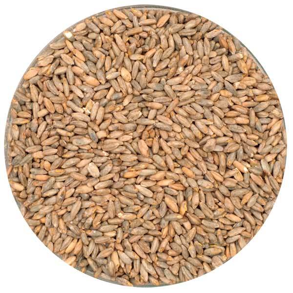 Weyermann® Rye Malt in a display bowl