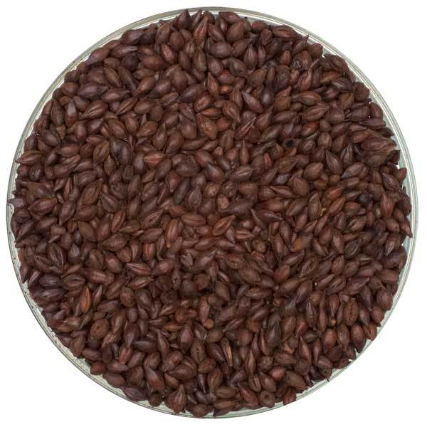 Bowl of Crisp Roasted Barley