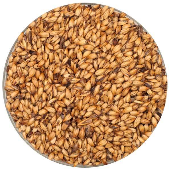 Detail view of Briess Caramel 120L malt