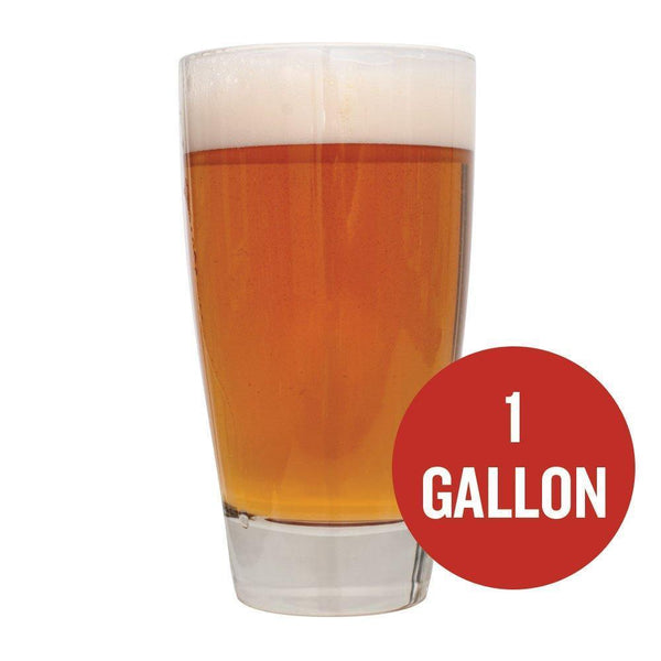 1 Gallon Beer Recipe Kits