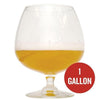 Belgian Tripel homebrew in a semi-filled glass with the following text: one gallon