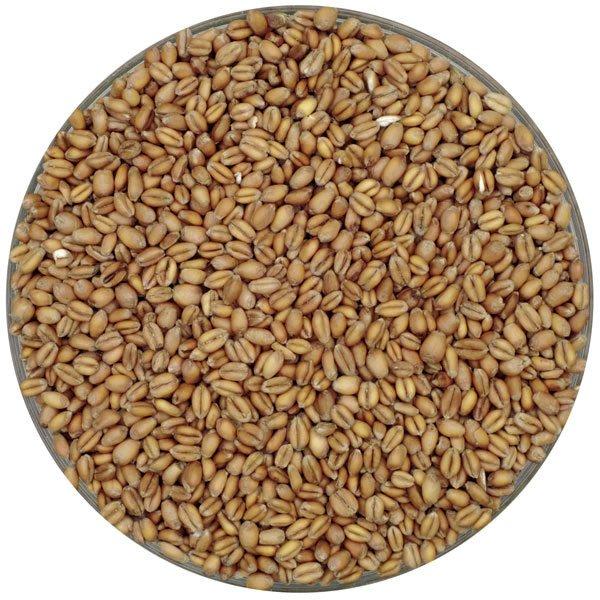 Weyermann® Oak-Smoked Pale Wheat Malt in a bowl