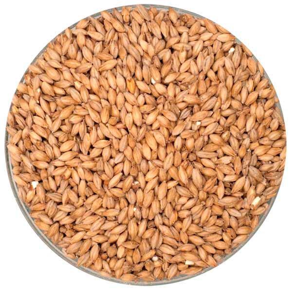 Malting Company of Ireland Stout Malt in a bowl