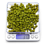 Northern Brewer Brewing Scale Main