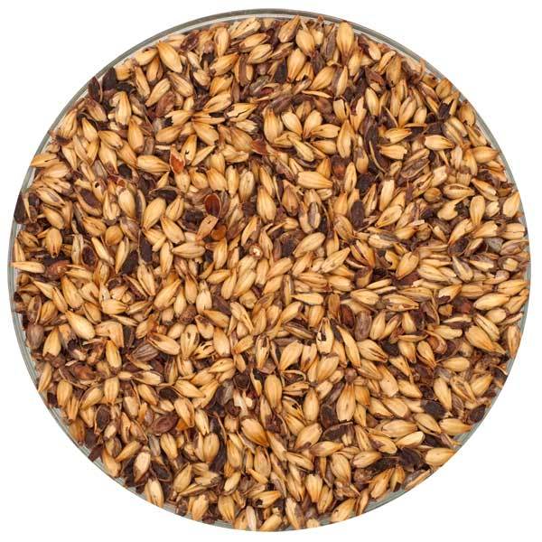 Detail view of Briess Caramel 80L malt