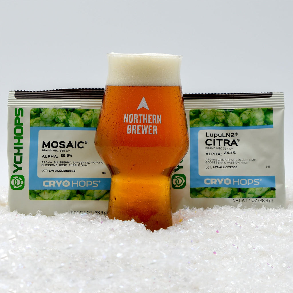 Session Ipa Extract Beer Recipe Kit