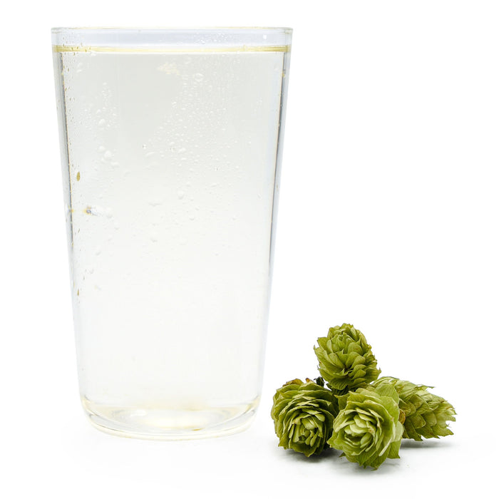 Hopped Hard Seltzer in a glass with a pile of Cascade hops be the side.