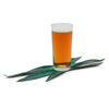 Mexican Agave Lager Extract Recipe Kit in a glass with agave leaves below