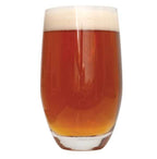 Smashing Pumpkin Ale homebrew in a glass