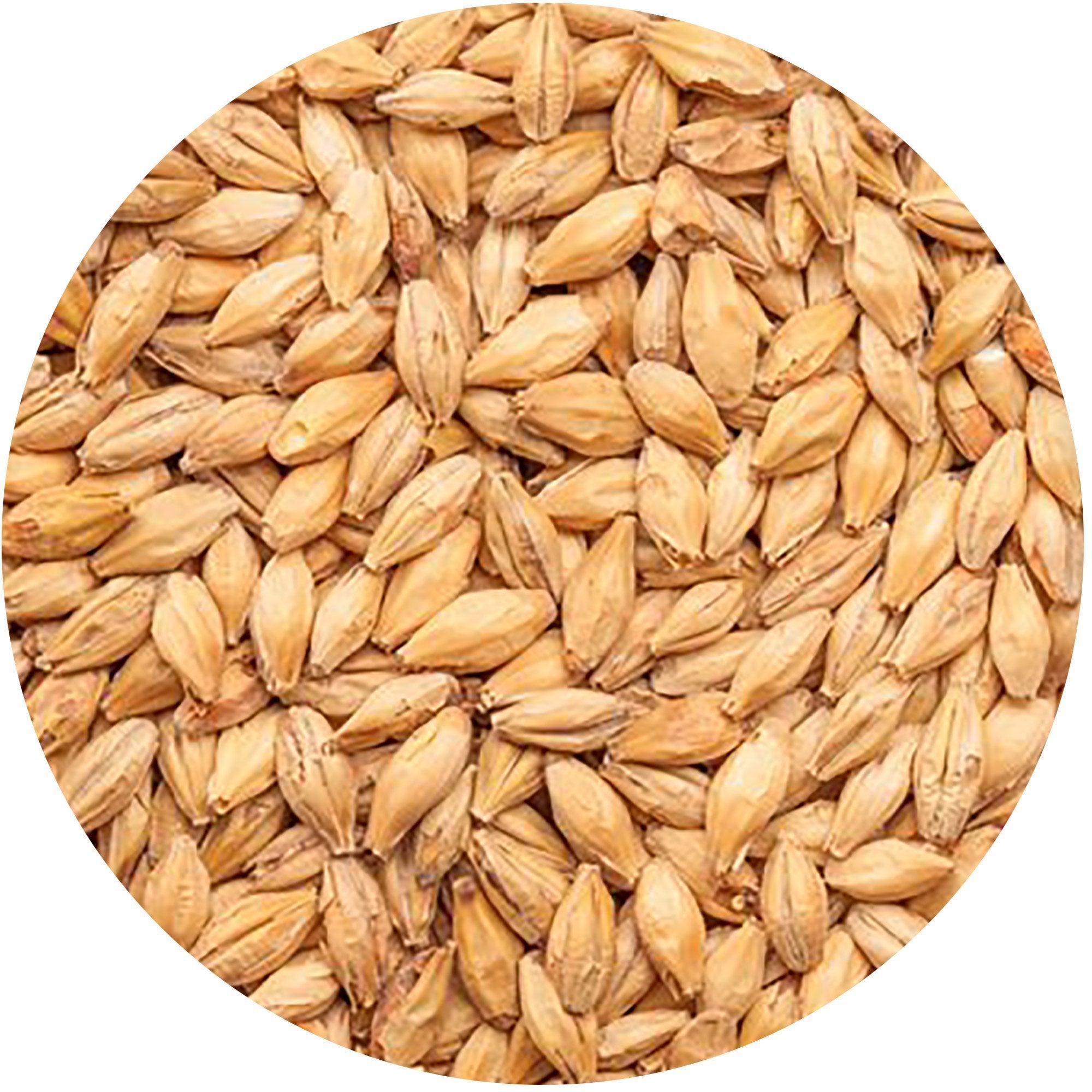 Close-up of Best Malz Red X Malt