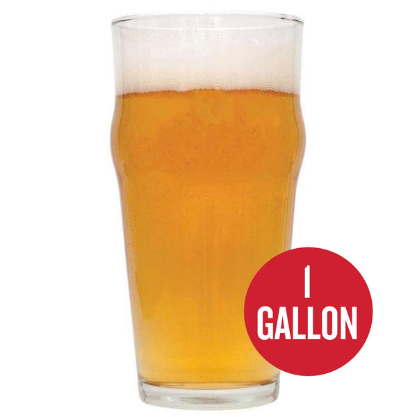 1 Gallon Homebrew Beer Recipe Kits