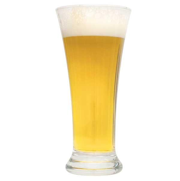 Czech Pilsner homebrew in a tall glass