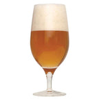 Glass filled with Exotic Tropic Wheatwine